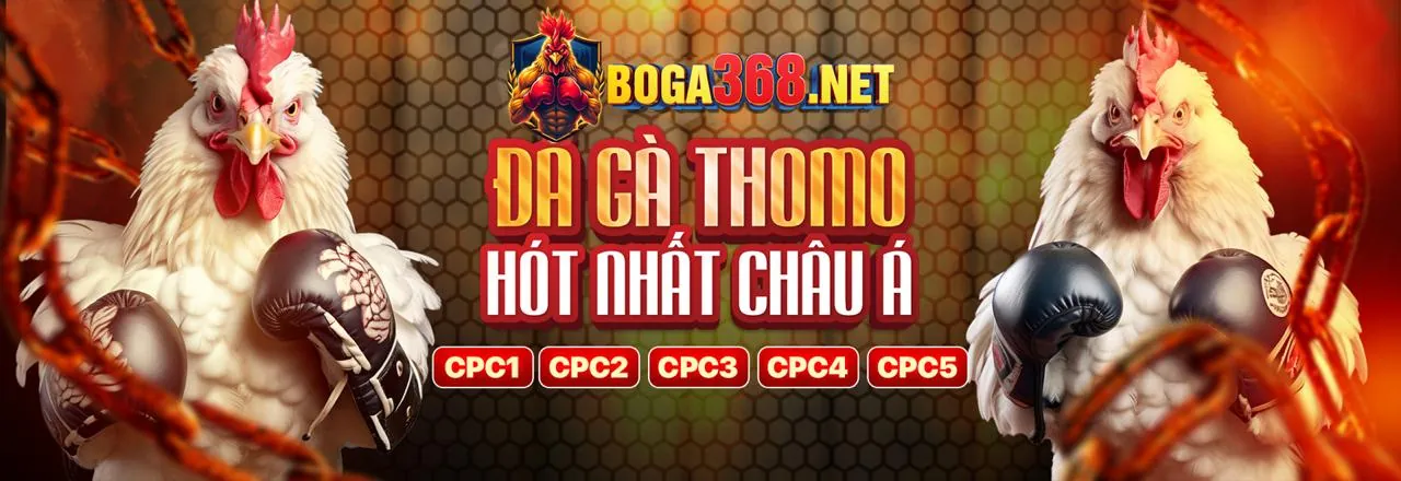 Tối ưu hóa khuyến mãi GO881